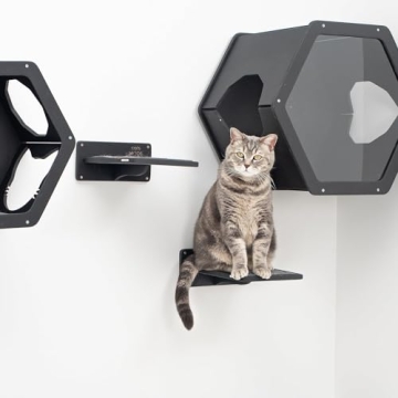 Rustic Wall Mounted Cat Shelves for Indoor Cats