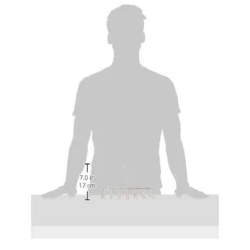 iDesign Classico Closet Organizer Rack for Ties, Belts