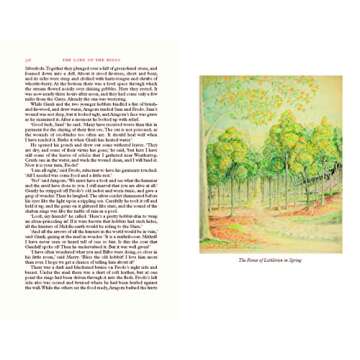 The Lord of the Rings Deluxe Illustrated by the Author: Special Edition (Tolkien Illustrated Edition...