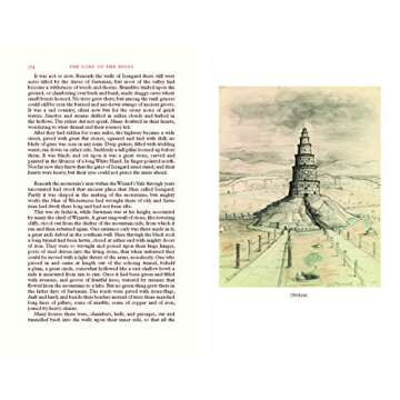 The Lord of the Rings Deluxe Illustrated by the Author: Special Edition (Tolkien Illustrated Editions)