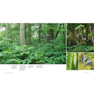 The Living Landscape: Designing for Beauty and Biodiversity in the Home Garden