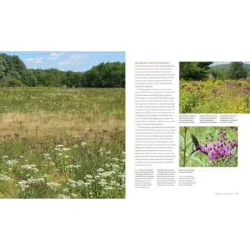 The Living Landscape: Designing for Beauty and Biodiversity in the Home Garden
