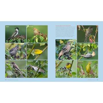 The Living Landscape: Designing for Beauty and Biodiversity in the Home Garden