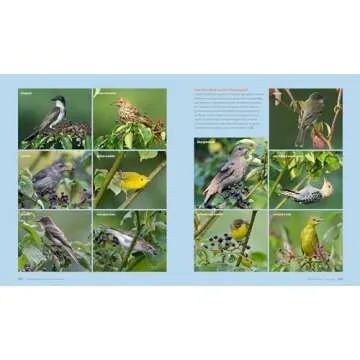 The Living Landscape: Designing for Beauty and Biodiversity in the Home Garden