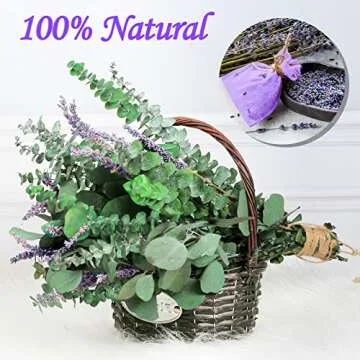 115 PCS Large Dried Preserved Eucalyptus Stems & Lavender Flowers Bundle for Shower, 17'' Real Fresh Hanging Silver Dollar Leaves, Aromatic Self-Care Shower Plants, Natural Fragrance, Home Decor