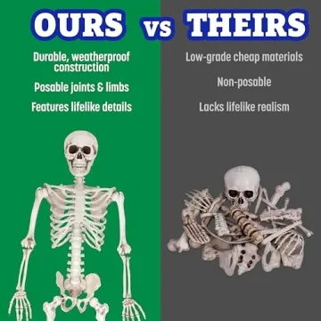 Life Size Skeleton Model for Halloween & Anatomy Use