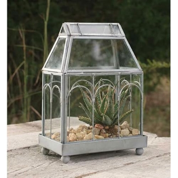 Archway Glass Terrarium for Miniature Gardens