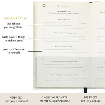 Sober dolphin The Gratitude Journal for More Happiness, Positive Energy, Positivity,The Gratitude Notebook, Quick and Easy Recording Daily Planner Journal for Women Men