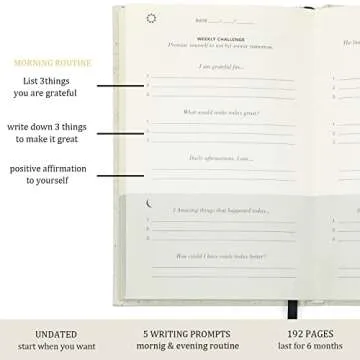 Sober dolphin The Gratitude Journal for More Happiness, Positive Energy, Positivity,The Gratitude Notebook, Quick and Easy Recording Daily Planner Journal for Women Men