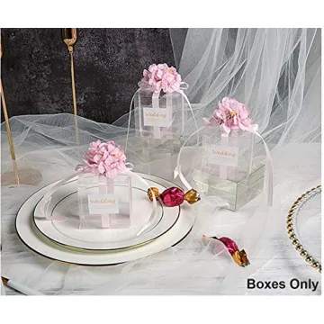 Clear Plastic Gift Boxes for Events | Mose Cafolo