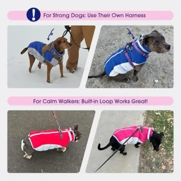 FUAMEY Dog Winter Jacket with Built-In Harness for Small Dogs