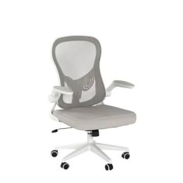Hbada Ergonomic Office Chair with Flip-Up Armrests for Comfort