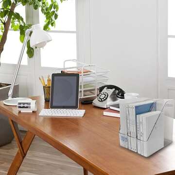 Voittozege 2 Pack Clear Acrylic Magazine File Holder Plastic Desk Organizer with Handle, Acrylic Vertical File Folder Bin Storage File Folders Magazine Rack Document Storage Organizer for Home Office