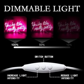 Pink LED Neon Sign for Wall Decor Dimmable USB Powered