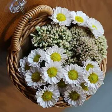 Ochine 1 Pack Hanging Basket Woven Wall Baskets Hanging Storage Basket Woven Shelf Basket Storage Bin Plant Basket Small Woven Storage Basket with Handle Decorative Basket for Home Office Organizing