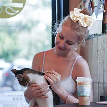 CEELGON Brown Black Big Satin Scrunchies for Women 6.3Inches Large Scrunchie Coffee Satin Oversized Thick Elastic Hair Ties Jumbo Hair Scrunchies 6 Pack (black,coffee, champagne,brown,grey,dark brown)