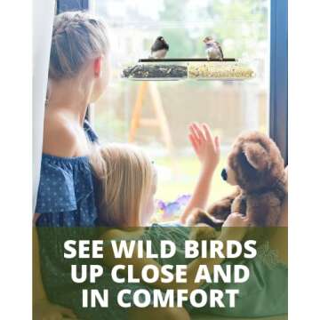 Nature's Envoy Window Bird Feeder – Clear View for Birdwatching with Strong Suction Cups