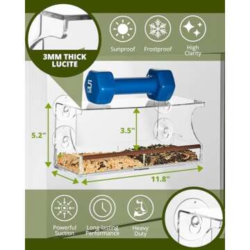 Nature's Envoy Window Bird Feeder for Birdwatching