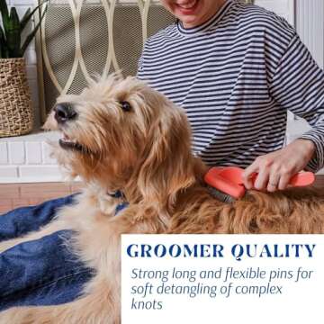 OodleLife Slicker Brush for Grooming Shedding Medium & Long Haired Dogs - Pin Brush for Poodles, Goldendoodles and Doodle Breeds (Large)