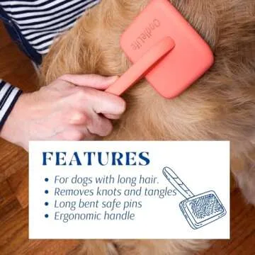 OodleLife Grooming Brush for Doodles & Long-Haired Dogs