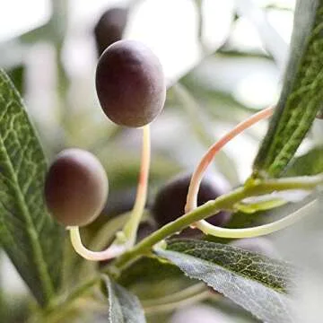 Realistic Olive Branches for Home and Office Decor