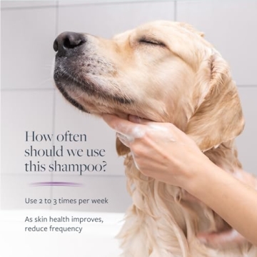 Veterinary Formula Clinical Care Dog Shampoo - Medicated Solution