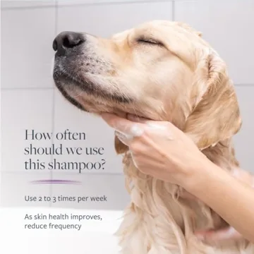 Veterinary Formula Clinical Care Dog Shampoo - Medicated Solution