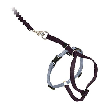 PetSafe Come With Me Kitty Harness for Safe Cat Walks