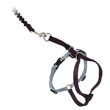 PetSafe Come With Me Kitty Harness for Safe Cat Walks