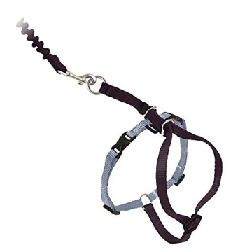 PetSafe Come With Me Kitty Harness for Safe Cat Walks