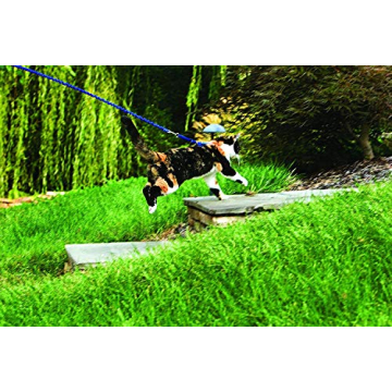 PetSafe Come With Me Kitty Harness for Safe Cat Walks