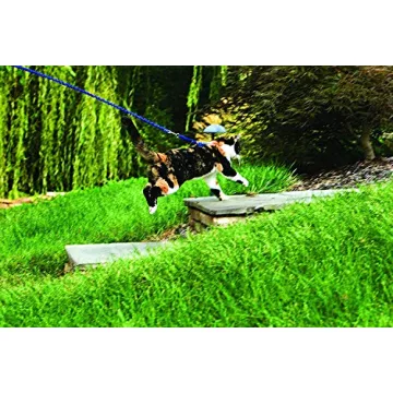 PetSafe Come With Me Kitty Harness for Safe Cat Walks