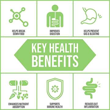 Body Ecology Assist Full Spectrum Enzymes | Plant Digestive Enzyme Supplement | Healthy Digestion and Absorbs Nutrients | 90 Vegetarian Count