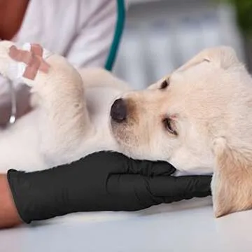 GMG SINCE1988 Nitrile Exam Gloves - 100 Pack of Latex Free Gloves