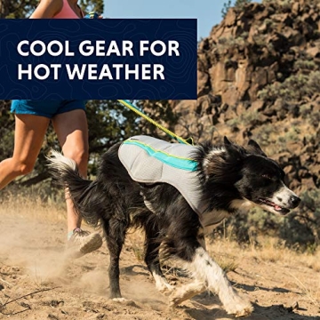 Ruffwear Swamp Cooler Evaporative Dog Cooling Vest
