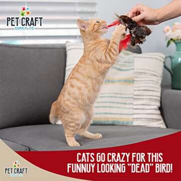 Pet Craft Crazy Catnip Cuddler Stimulating Cat Toy