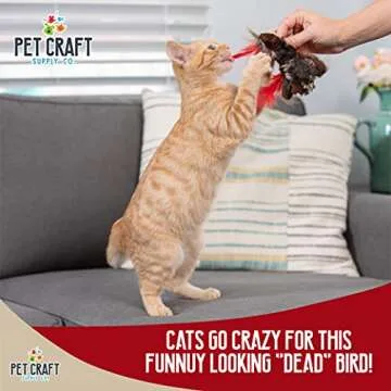 Pet Craft Crazy Catnip Cuddler Stimulating Cat Toy