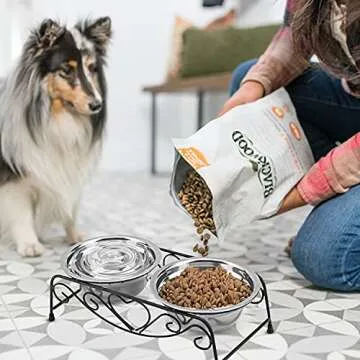 Stainless Steel Raised Pet Bowls wtih Double Dog Cat Food and Water Feeder Dish Retro Iron Elevated Stand for Pet (M)