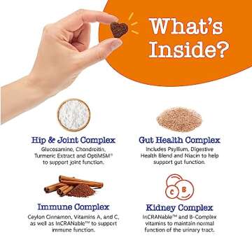 Zesty Paws Senior Dog Multivitamin Treats - Glucosamine for Dogs + Digestive Enzymes & Probiotics - Grain Free Dog Vitamins for Skin & Coat + Immune Health - Beef - Advanced - 90ct