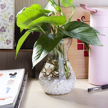 KISSTAKER White Pebble for Aquarium and Decoration