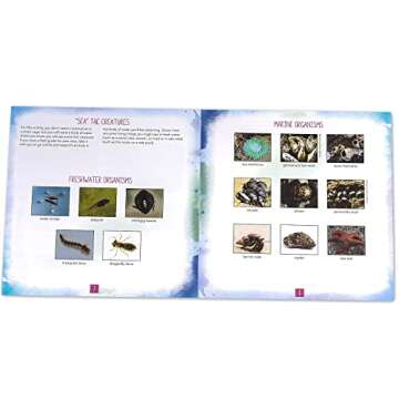 Educational Insights Nancy B's Science Club AquaScope, Explore Underwater Without Getting Wet, Includes Magnifier & LED Flashlight, Ages 8+