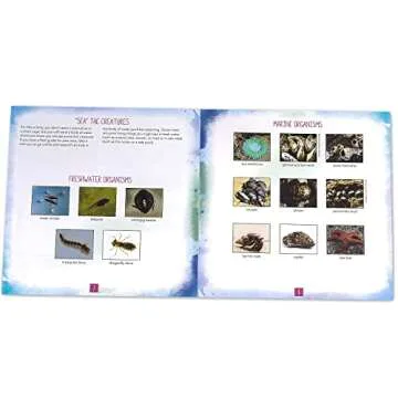 Educational Insights Nancy B's Science Club AquaScope, Explore Underwater Without Getting Wet, Includes Magnifier & LED Flashlight, Ages 8+