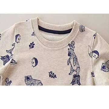 Baby Boys Crewneck Sweatshirts,Cute Long Sleeve Shirt Fall Clothes Outfits Bear 2T