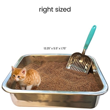 DuraScoop Jumbo Cat Litter Scoop for Efficient Cleaning
