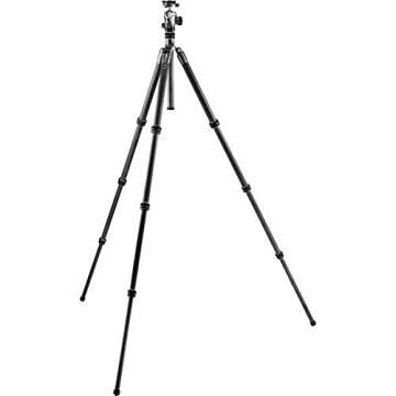 Gitzo Lightweight Series 2 Traveler Carbon Fiber Tripod with Center Ball Head, Silver & Black (GK2545T-82QDUS)