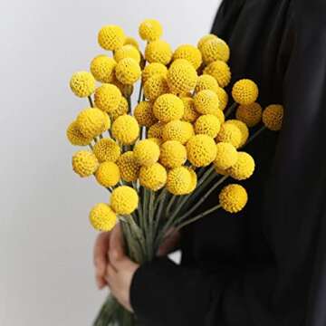 20 PCS Dried Golden Billy Balls Flower Bouquet - Craspedia Globosa for Crafts & Home Decor