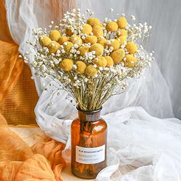 20 PCS Dried Golden Ball Billy Balls for Home Decor