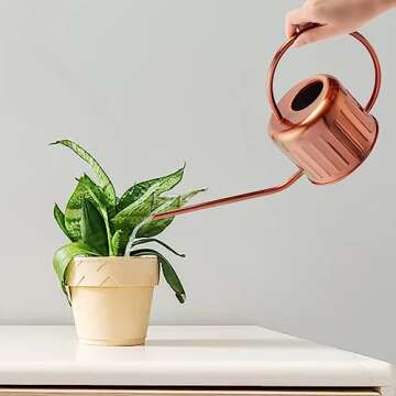 BLstyle 34oz Copper Watering Can-Small Watering Can for House Plants, Metal Watering Can with Long Spout, Indoor and Outdoor Watering Can, Flower Watering Can, Plant Watering can, Bonsai Watering can