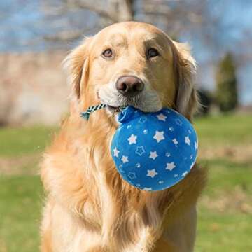 PrimePets Dog Birthday Toys, 3 Pack, Crinkle Squeaky Dog Toys Set, Pet Toys for Small Medium Large Dogs, Stuffed Puppy Chew Toys, Dog Gift Toys