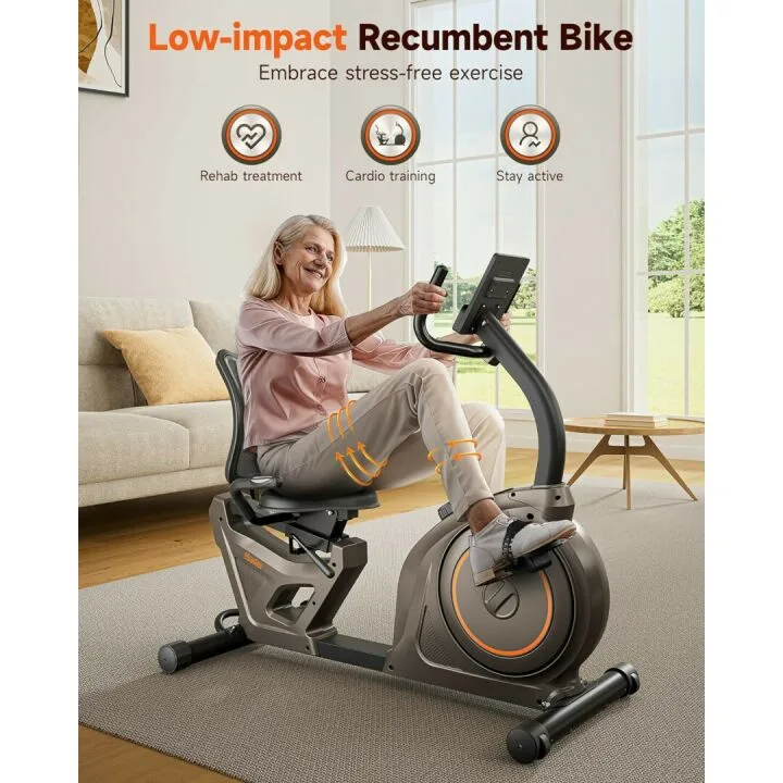 Niceday Recumbent Exercise Bike, Recumbent Bike for Home, Recumbent Stationary Bike 400LBS Weight Capacity, Magnetic Recumbent Bike with Smart APP, LCD Monitor, Heart Rate Handle